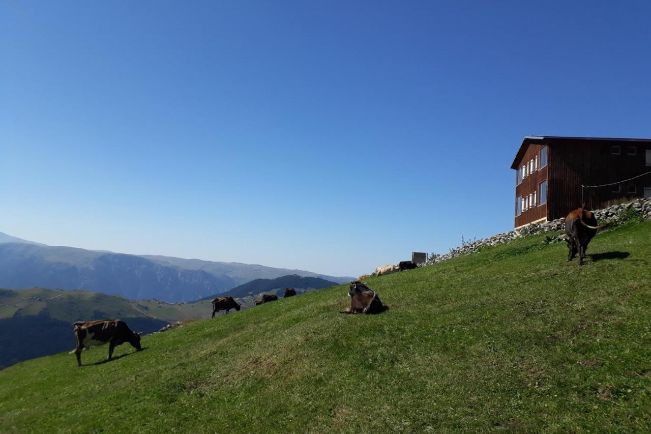 MiGRORAŞ OTEL&RESTAURANT-KARESTER YAYLASI Uzungöl Exterior foto