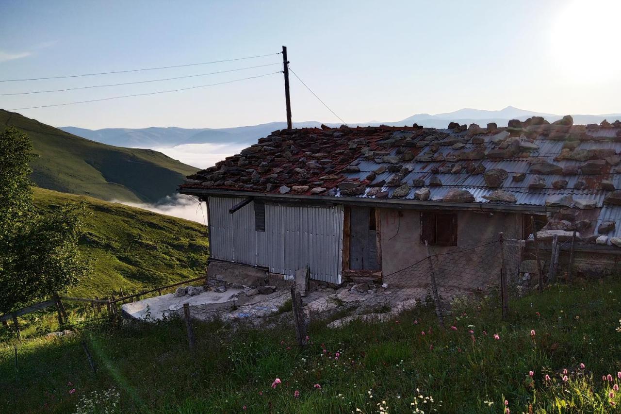 MiGRORAŞ OTEL&RESTAURANT-KARESTER YAYLASI Uzungöl Exterior foto